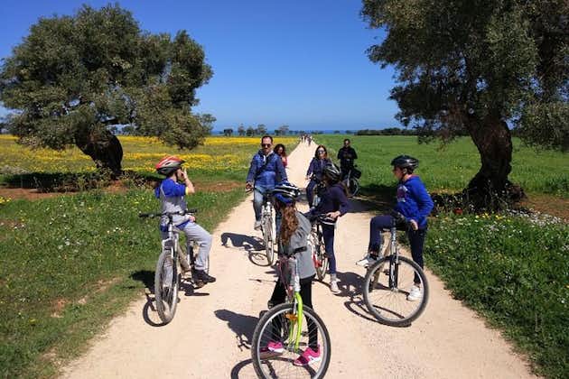 Privat cykeltur med olivenoliesmagning