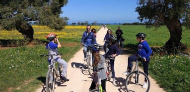 Private Bike Tour with Olive Oil Tasting