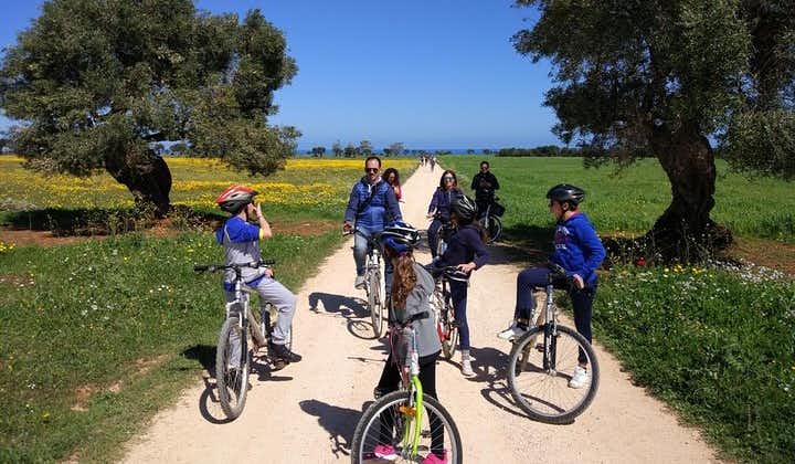 Private Bike Tour with Olive Oil Tasting