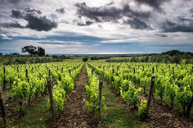 Herlig Toscana vinopplevelse på sjarmerende steder