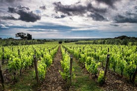 Härlig Toscana vinupplevelse på charmiga platser