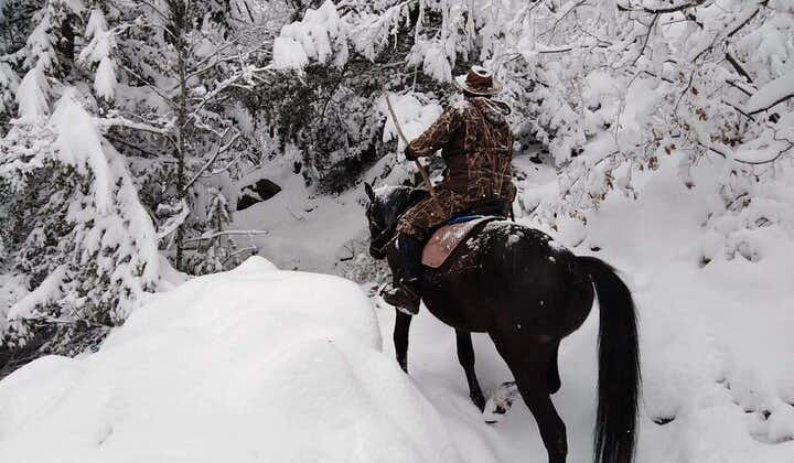 1 Hour Waterfalls Canyon Private Horse Riding in Smolyan 