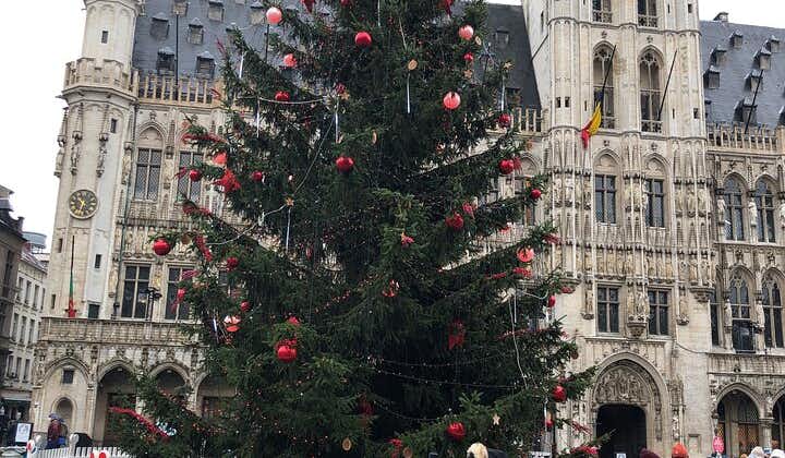 Private Magical Christmas Tour in Brussels