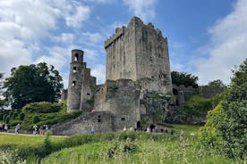 Privat chaufförstur i Cork, Blarney Castle, Kinsale och Cobh