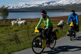 Touring-Trekking Fietsverhuur in Tromso - 1 tot 2 dagen