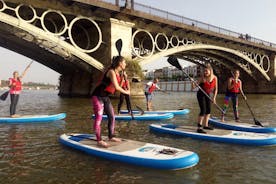 Seville Paddle Surf Sup in the Guadalquivir River 