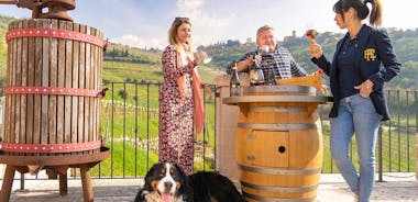 Valpolicella Wine Tour: Explore 3 Wineries, Lunch & Amarone Focus