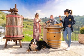 ヴァルポリチェッラ ワイン ツアー : 3 つのワイナリーの探索、ランチ、アマローネ フォーカス