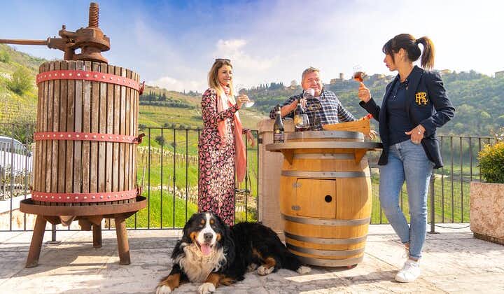 Valpolicella-Weintour: Erkunden Sie 3 Weingüter, Mittagessen und Amarone-Fokus