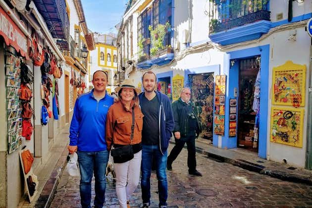 Excursión de un día en grupo pequeño a Córdoba desde Granada