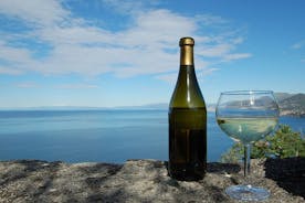 CAMOGLI: PRIVAT ligurisk vinprovningsupplevelse och promenader i nationalparken