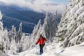 Schneeschuhwandern auf den siebenbürgischen Hügeln - Tagesausflug ab Bukarest