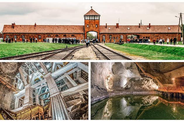 Auschwitz-Birkenau und Salzbergwerk Wieliczka ab Krakau