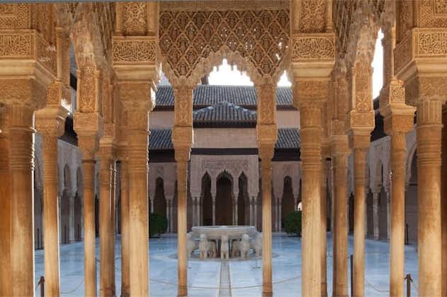 Privat rundtur i Alhambra och Granada