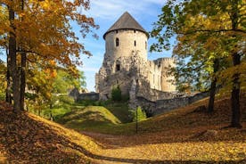 Private Full-Day Trip from Riga to Cesis, Sigulda, and Turaida 