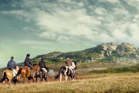 리버티 트레일 - Dartmoor Horseback Adventures