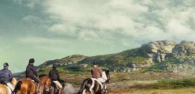 Liberty Trails - Avventure a cavallo di Dartmoor