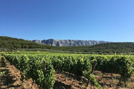 Dagsferð Aix en Provence og vín í Côtes de Provence Sainte-Victoire
