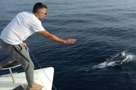 Marbella-Kleingruppen-Katamaran mit Delfinbeobachtung