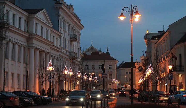 Vilnius: Private Tour with a Local