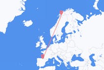 Flüge von der Stadt Vitoria-Gasteiz in die Stadt Narvik