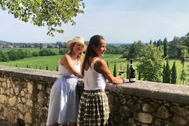 Amarone wine tour: 1 winery with delicious light lunch