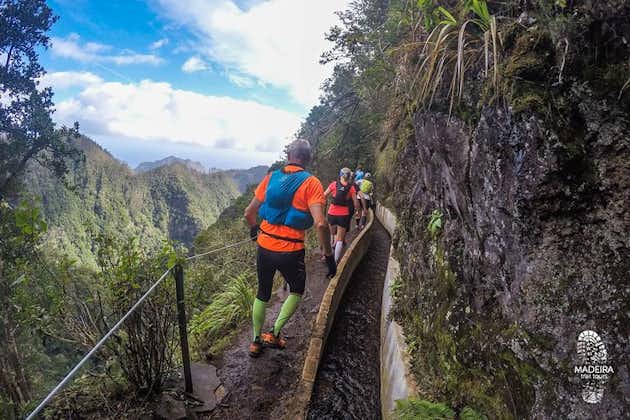 Green Levada Running Tour (Easy-Moderate)