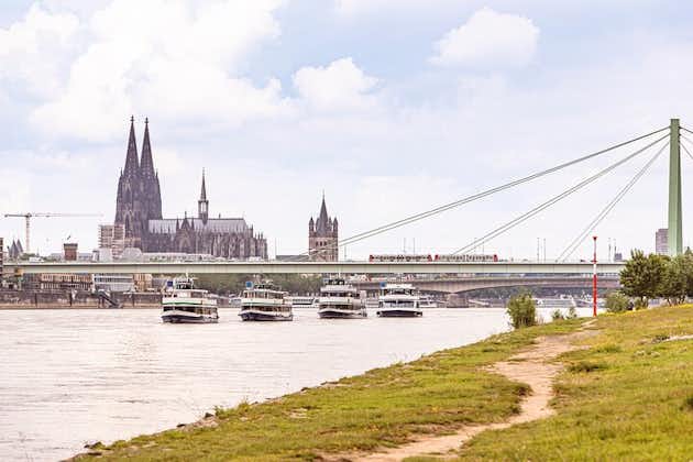 Panoramische tocht op de Rijn 60 minuten