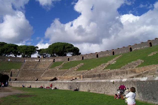 Vesuv och Pompeji privat tur: dagstur från Rom med bil