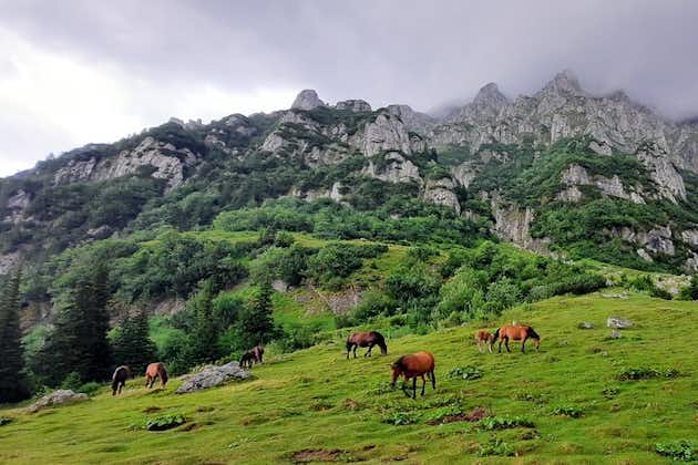 Private day hike from Brasov to Malaiesti Cottage