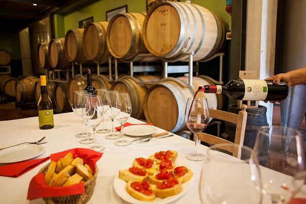 Winery turné och vinprovning av organiska Chianti viner och extra jungfruolja