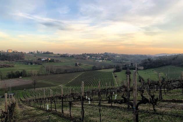 Food and Wine Tour on the Prosecco Hills from Venice