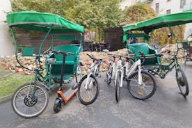 2 dagars (E)cykel eller Rickshaw Delad men liten grupp