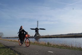 Tour à vélo de la région de Kinderdijk