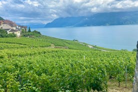 Zurich Private Tour - Gruyères, Cheese, and Lavaux's UNESCO Wine