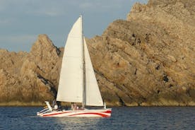 Excursion d'une demi-journée en catamaran à Minorque
