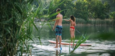 Bacina sjöar Stand-Up Paddle Board Tour