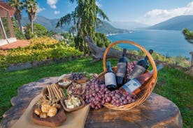 Private Guided Tour and Wine Tasting in Herceg Novi