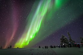 Aurora Experts의 프라이빗 오로라 투어(5인 이상) - Rovaniemi