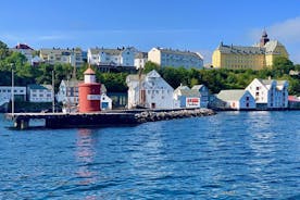 Alesund Sightseeing private tour for cruise passengers
