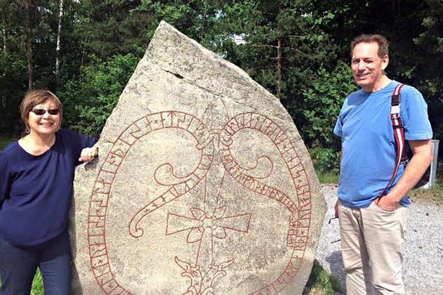 Tour privato: viaggio nella storia dei vichinghi da Stoccolma incluso il regno runico