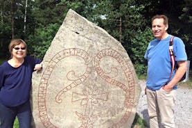 Tour privato: viaggio nella storia dei vichinghi da Stoccolma incluso il regno runico