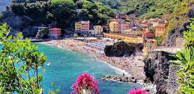Cinque Terre ja Pisa koko päivän yksityinen rantaretki Livornon satamasta