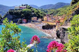Cinque Terre och Pisa helgedags privat strandutflykt från Livorno hamn
