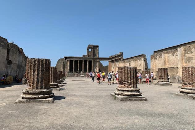 Pompeï en de Vesuvius ervaren: Tour met kleine groep met tickets inbegrepen