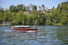 Luxurious Lake Lucerne Tour in a Private Motor Yacht 