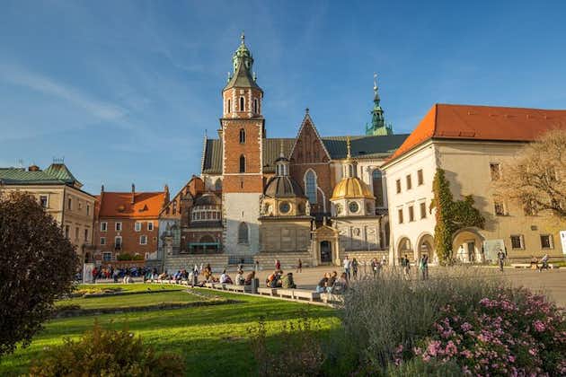 크라쿠프: Wawel 성, 대성당 및 Rynek 지하 가이드 투어(점심 포함)