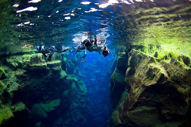 Snorkletur med liten gruppe i det krystallklare vannet i Silfra fra Reykjavik