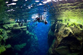 Snorkeltur i lille gruppe i Silfras krystalklare vand fra Reykjavik