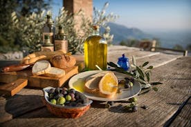 À partir de Padoue : L'huile d'olive et le vin des Collines Euganéennes